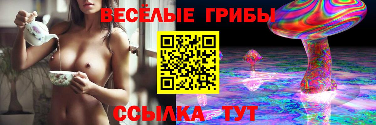 Галлюциногенные грибы Psilocybine cubensis Дзержинский