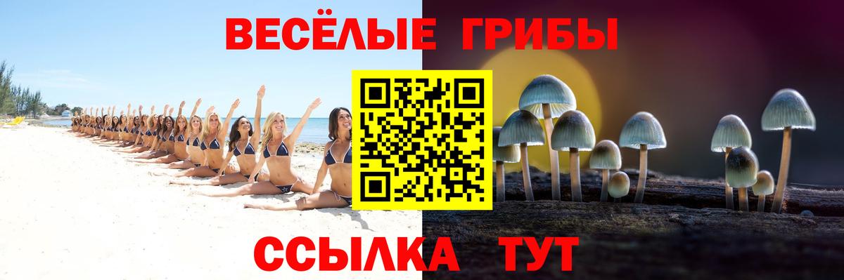 Галлюциногенные грибы Psilocybe  Вход с VPN  Дзержинский 